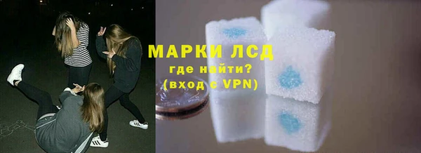 гашик Пересвет
