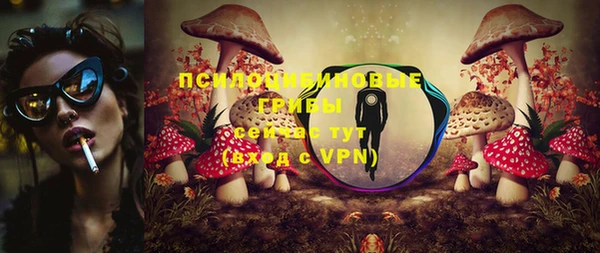прущий лед Верея
