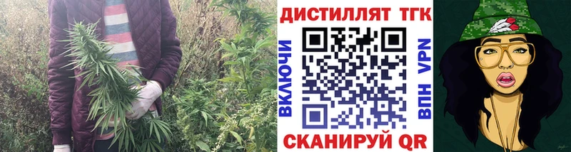 как найти наркотики  Новотроицк  ТГК вейп с тгк 