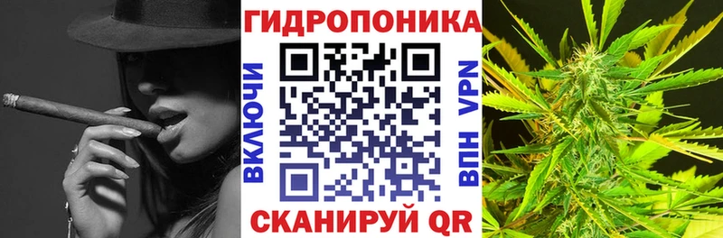 купить наркоту  Новотроицк  нарко площадка как зайти  Канабис индика 